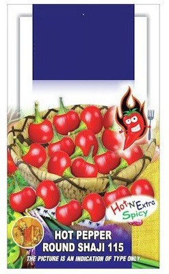 ActrovaX Green Chilli Round Shaji [2000 Seeds] Seed(2000 per packet)