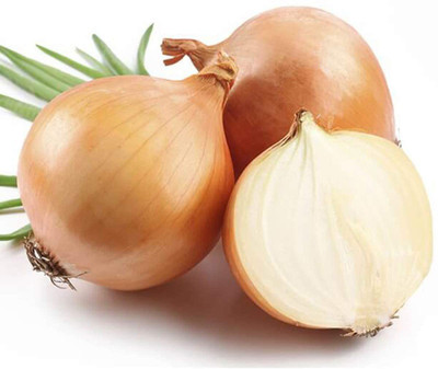 WILLVINE Onion Seed(1000 per packet)