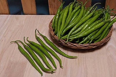 ActrovaX NDIR Green Chilli - Chilly [1000 Seeds] Seed(1000 per packet)