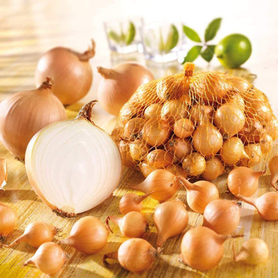 CYBEXIS Powerful Aroma Onion Seeds Vegetable2000 Seeds Seed(2000 per packet)