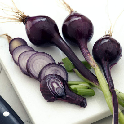 WILLVINE Spring Onion 'Purplette Bunching Onion Hardy Annual Seed(300 per packet)