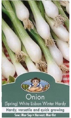 Biosnyg Spring Onion Lisbon Winter Hardy 2000 Seeds Seed(2000 per packet)