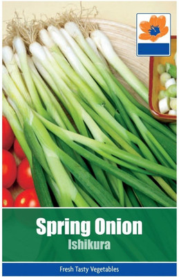Biosnyg Spring Onion Ishikura Seeds 2000 Seeds Seed(2000 per packet)