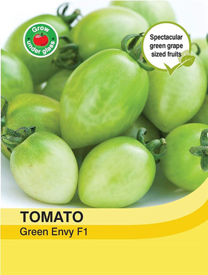 ActrovaX Tomato Seed(1000 per packet)