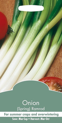 WILLVINE Vegetable - Spring Onion Ramrod Seed(300 per packet)