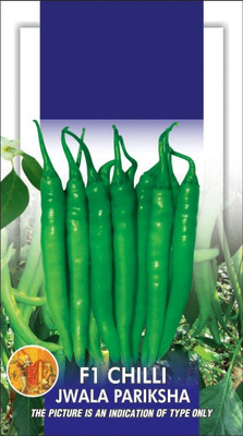 WILLVINE ™Chilli/Pepper F1 Jwala Pariksha Seed(1000 per packet)