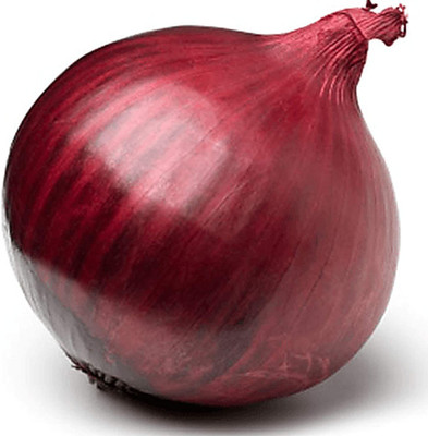 WILLVINE onion Seed(300 per packet)