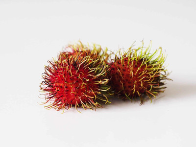 Elite Green Rambutan Seed(1 per packet)