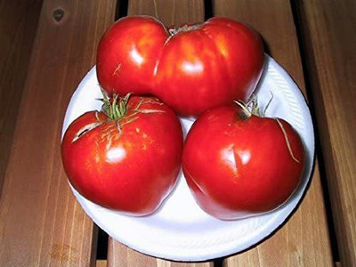 CYBEXIS Very Fragrant Tomato Seeds Oxheart Heirloom1000 Seeds Seed(1000 per packet)