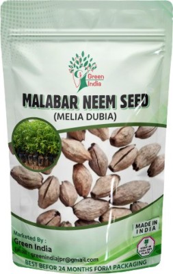 Green India Meliya Dubia / Malabar Neem / Pack of 100 Gram Seed(40 per packet)