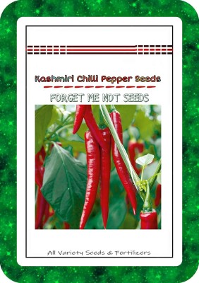 Biosnyg Hybrid Variety Kashmiri Chilli Pepper 500 Seeds Seed(500 per packet)