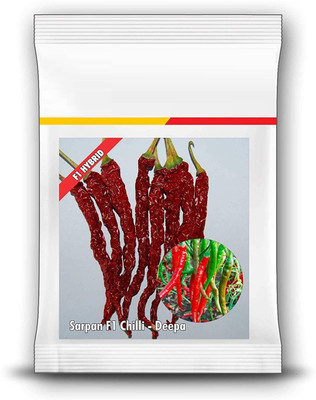 ActrovaX F1 Chilli Deepa [2000 Seeds] Seed(2000 per packet)