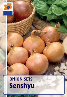 WILLVINE Onion Seed(300 per packet)