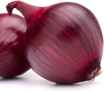 WILLVINE Onion Seed(300 per packet)