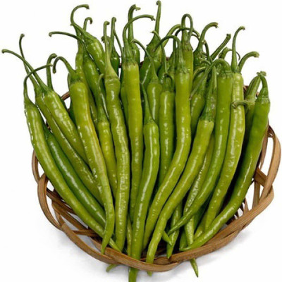 ActrovaX F1 Hybrid Chilli Jwala [500 Seeds] Seed(500 per packet)