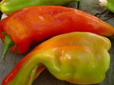 DIVINE CAPSICUM Seed(45 per packet)