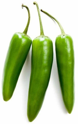 ActrovaX F1 Hybrid Achari Chilli [4000 Seeds] Seed(4000 per packet)