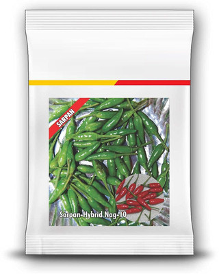 ActrovaX Bird Eye Hybrid Chilli [2000 Seeds] Seed(2000 per packet)