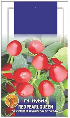 ActrovaX Green Chilli High Yield Mirchi [1gm Seeds] Seed(1 g)
