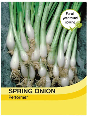 WILLVINE Spring Onion Totem Seeds Seed(300 per packet)
