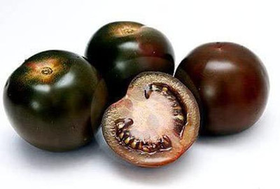 WILLVINE Black Cherry Tomato Seeds - Lycopersicon esculentum Seed(500 per packet)