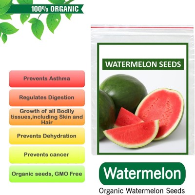 Biosnyg Organic Watermelon F1 Hybrid Tarbuj Seeds 10gm Seeds Seed(10 g)