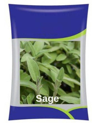 ActrovaX High Yielding Sage Herb [50 Seeds] Seed(50 per packet)