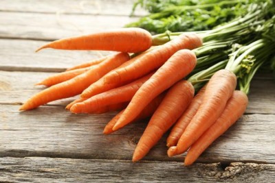 CYBEXIS No. 29 Carrot Variety 4000 Seeds Seed(4000 per packet)