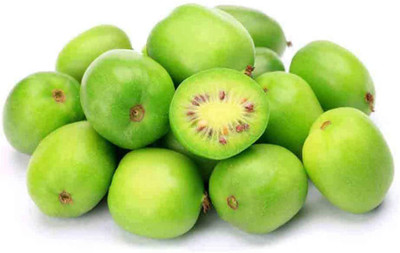 WILLVINE Cold-Tolerant Hardy Kiwi Seeds Tropical Fruit Seeds Seed(50 per packet)
