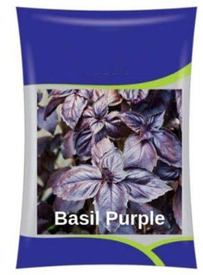 ActrovaX High Yielding Purple Basil Herb [100 Seeds] Seed(100 per packet)