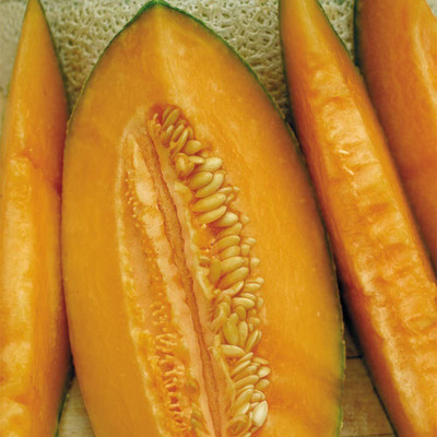 WILLVINE MuskMelon Seed(200 per packet)