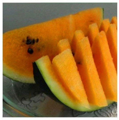 WILLVINE Yellow Dwarf Potted Fruit Watermelon Seeds Seed(100 per packet)
