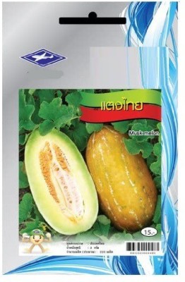 ActrovaX Thai Long Muskmelon - Tang Thai [500 Seeds] Seed(500 per packet)