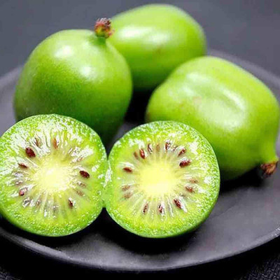 WILLVINE Hardy Kiwi Seeds Tropical Fruit Seeds Seed(50 per packet)