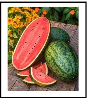 Biosnyg Seeds Watermelon F1 Hybrid Green 100 Seeds Seed(100 per packet)
