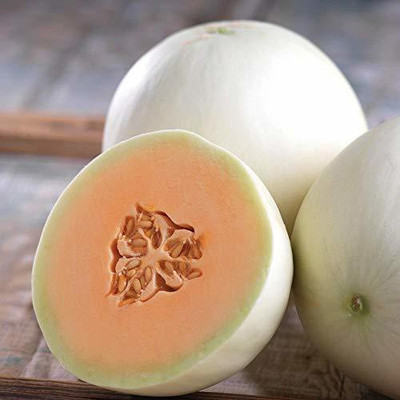 WILLVINE Muskmelon Seed(100 per packet)