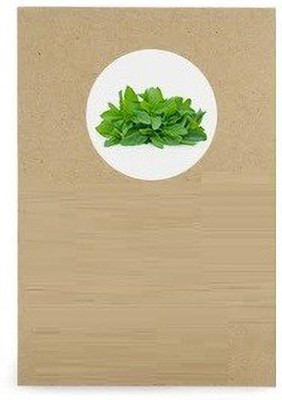 WILLVINE Mint Seed(100 per packet)
