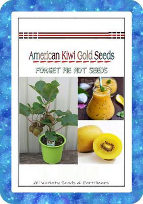 WILLVINE ™American Kiwi Gold Seeds Hybrid Variety High Quality Selected Seed(100 per packet)