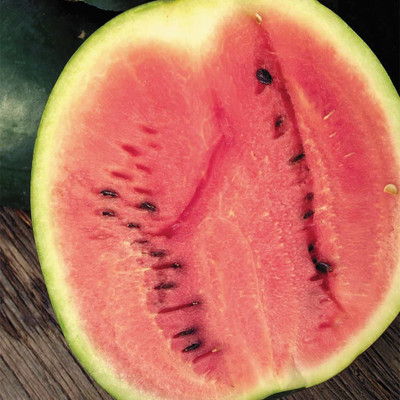VibeX VXI-70 - Sugar Baby Watermelon Red - (150 Seeds) Seed(150 per packet)