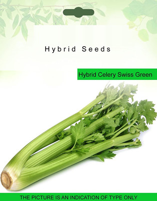 Biosnyg Celery Seed(5000 per packet)