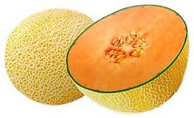 WILLVINE Muskmelon Seed(100 per packet)