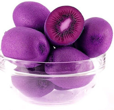 WILLVINE Rare Cold-Tolerant Kiwi Fruit Seeds Seed(50 per packet)