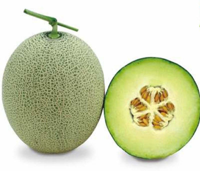 WILLVINE Muskmelon Seed(100 per packet)