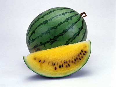 WILLVINE Yellow Diamond Watermelon Seeds Seed(50 per packet)
