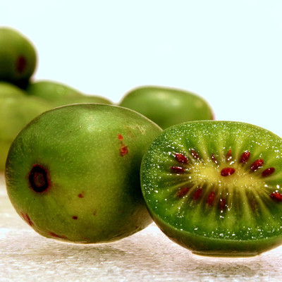 WILLVINE Tropical Fruit Seeds Rare Cold-Tolerant Kiwi Seeds Seed(50 per packet)