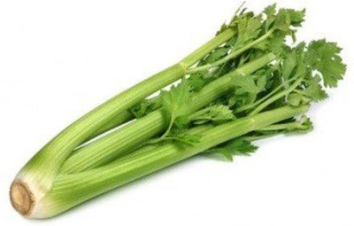 Biosnyg Celery Herb Organic F1 Hybrid Seeds 2500 Seeds Seed(2500 per packet)
