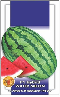 WILLVINE Super Big Water Melon Seeds Seed(100 per packet)
