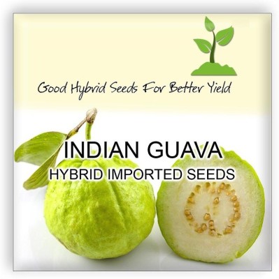 ActrovaX Red Thailand Guava Fruit [50 Seeds] Seed(50 per packet)