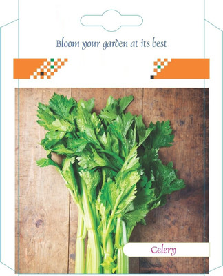 WILLVINE ™Celery Seeds Seed(2500 per packet)