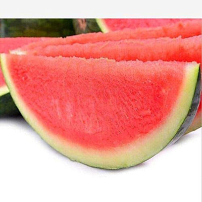 WILLVINE Seedless Watermelon Seeds Watermelon Seeds Sweet Juice Tasty Growing Set Seed(100 per packet)